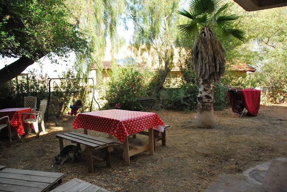 Lesanel - Guest House Arad Buitenkant foto