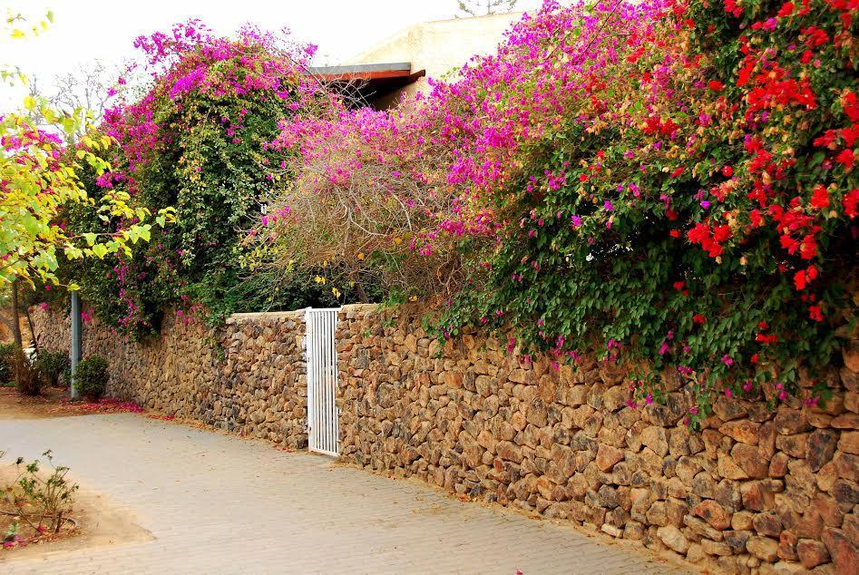 Lesanel - Guest House Arad Buitenkant foto